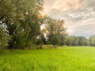 Nieruchomość 16 650 m2 działki budowlane i rolna - 3