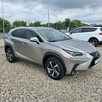 Lexus NX 300 | Premium | Niski przebieg | Skóry | Stan bdb - 3