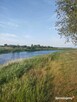 Działka z Potencjałem nad Rzeka Narew 8400m2 Targonie Wielkie - 2