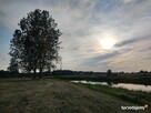 Działka z Potencjałem nad Rzeka Narew 8400m2 Targonie Wielkie - 3