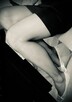 Cross trans cd … - 1