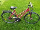 Rower damka Pegasus Solero Alu Light Trek 28 - 1