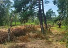 Działka nad morzem - 6