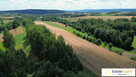 Działka rolna 2,2ha Podmielowiec gm. Bodzentyn - 7