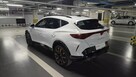 Cupra Kraków - Centrum - 5