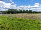 Działka rolna Żory, Ogrodnicza - 9