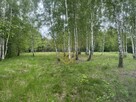 Działka siedliskowa Grodzisk Mazowiecki - 6