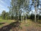 DZIAŁKI BIELKÓWKO/STRASZYN - 1