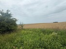 DZIAŁKI BIELKÓWKO/STRASZYN - 3
