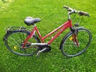 Rower damka Pegasus Solero Alu Light Trek 28 - 3