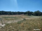 Działka z Potencjałem nad Rzeka Narew 8400m2 Targonie Wielkie - 10