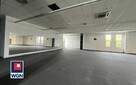 Lokal użytkowy 615 m2 na wynajem Centrum Handlowym w Lubinie - 10