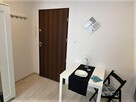 Studio przyjazne dla zwierząt, 3 Maja 27 OF - 7