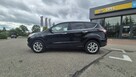 Ford Escape - 8