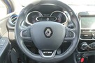Renault Clio - 15
