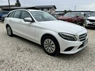 Mercedes C 220 2.0 diesel 194km, Salon PL, Serwis, automat - 10