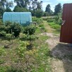 Do sprzedania - 3