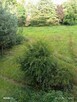 Mieszkanie 51m2 na sprzedaż - 11