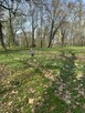Wyjątkowa działka z parkiem 5,5 ha - 3