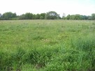 Działka nad Bugiem - 3