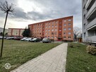 Do wynajęcia mieszkanie 2-pokojowe w Chojnowie - 10