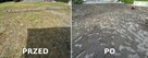 Usługi ogrodniczo-brukarskie Szczecin i okolice - 2
