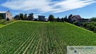 Kaskadowa działka 9 000 m² przy lesie - 2