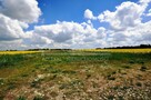 Działka budowlana Biała Podlaska, Biała Podlaska, Cicibór Duży, Rakowiska - 4