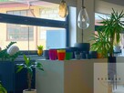Lokal użytkowy Tarnów, Spokojna - 11