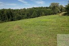 Działka budowlana Błonie gm. Tarnów - 10