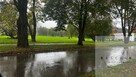 Działka Tarnów, C. K. Norwida - 2