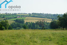 Działka budowlana Cieszyn, Hallera - 14