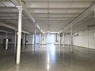 Lokal łódź - 8