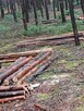 Pan pozna panaPan pozna pana