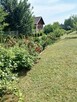 Sprzedam gospodarstwo rolne OKAZJA. - 14