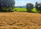 OKAZJA!Działka budowlana 9,61 ar – Srogów Górny, gmina Sanok - 6