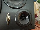 Kolumny STX A100 110W 8ohm - 7