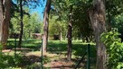 Na sprzedaz działka inwestycyjna Przyjezierze - 11