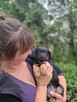 Czy ktoś pokocha Truskawkę? -szczeniak do adopcji - 3