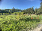 Działka budowlana Zboiska gm. Radziejowice, - 4
