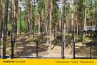 3,12 ha z pozwoleniem na budowę domu - 7