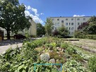 2 oddzielne pokoje, balkon, blisko UMK!