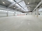 HALA produkcyjna od 1000 m2 OLKUSZ - 2