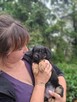 Czy ktoś pokocha Truskawkę? -szczeniak do adopcji - 5