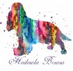 Cocker spaniel angielski - 4