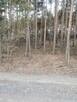 Sprzedam działkę rolno leśna gmina Brochów 1600m2 - 1