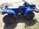 Quad ATV Kingway 250*dwa cylindry*biegi przód/tył*