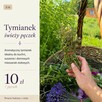 Tymianek świeży pęczek