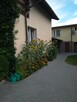 Pokoje gościnne nad Brdą - 9
