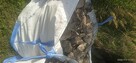 Gruz szlaka w big bag - 5